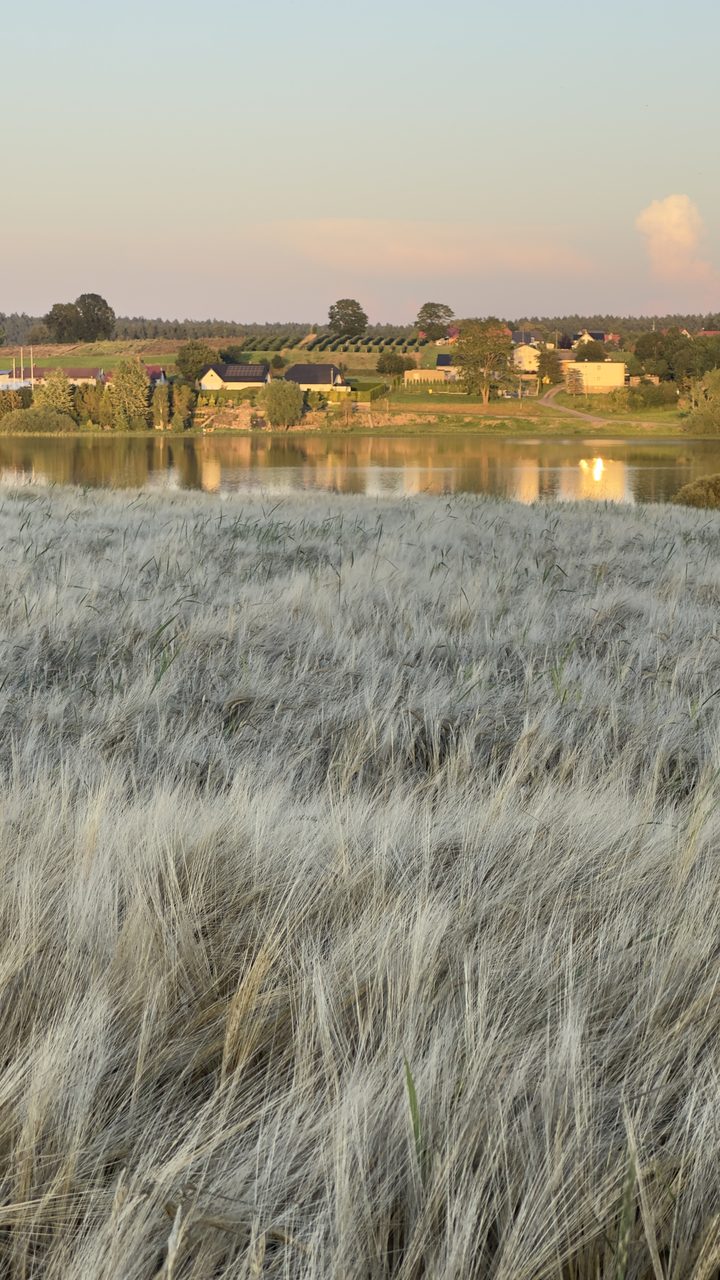 Krajobraz nad jeziorem